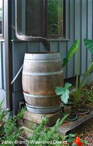 Rain Barrel