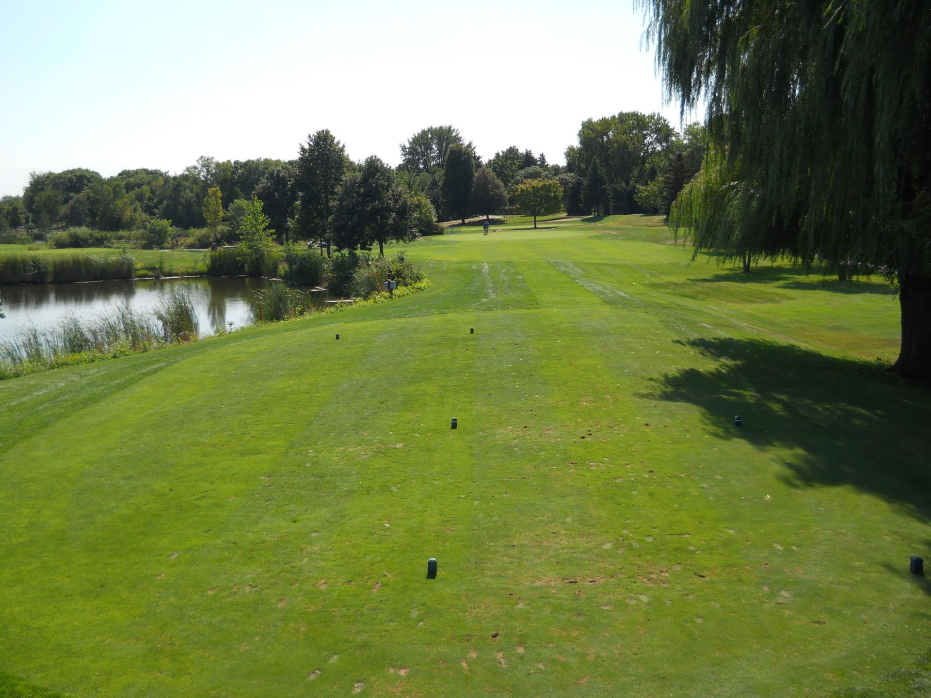 Fairway - Hole 3