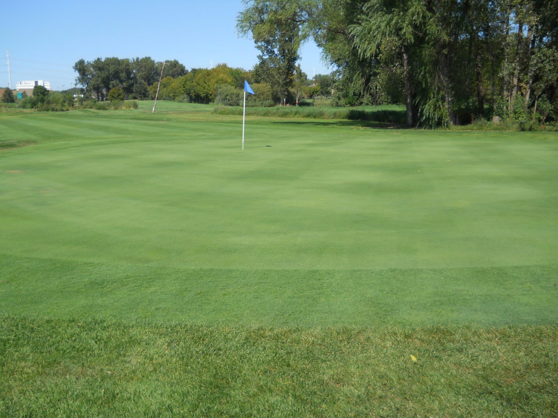 Putting Green - Hole 4